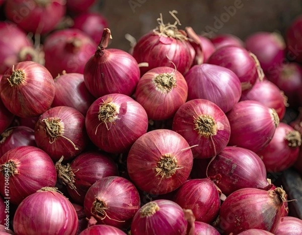 Fototapeta Pile of Red Onions Close Up