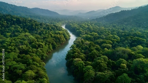 Fototapeta Aerial view of a river winding through dense tropical rainforest.
