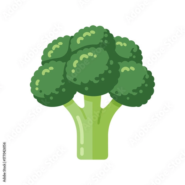Obraz Broccoli Flat Icon – Healthy Green Vegetable Vector