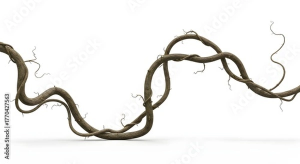 Fototapeta Close-up of a winding vine with intricate details and a natural, organic appearance against a white backdrop.