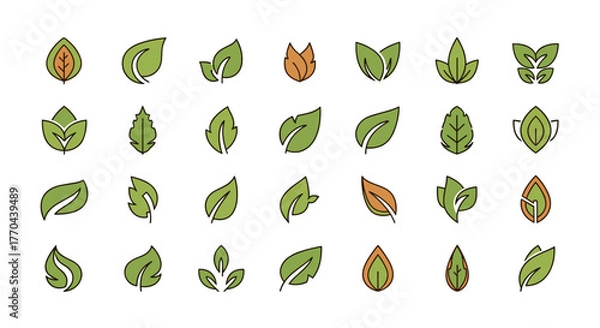 Fototapeta Collection of diverse abstract leaf logos and icons, featuring various shapes, styles, and color accents, presented as a clean vector cartoon illustration set on a black background, ideal for nature