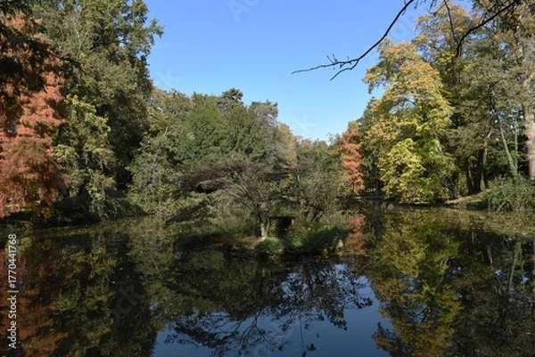 Obraz riflessi autunnali