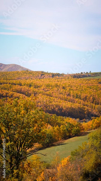Obraz autumn landscape in the mountains