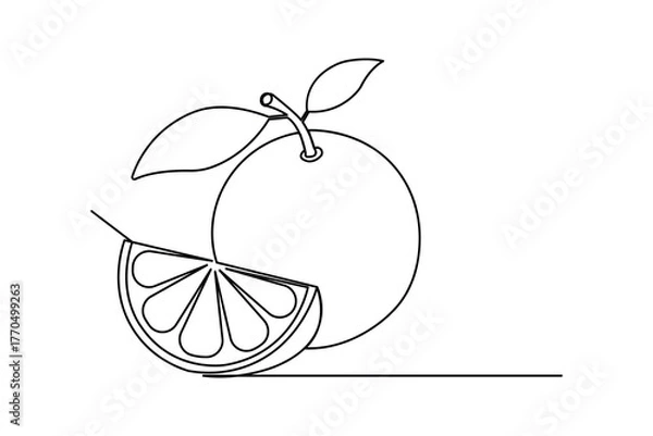 Fototapeta 
Orange fruit continuous one line drawing minimalist outline vector illustration