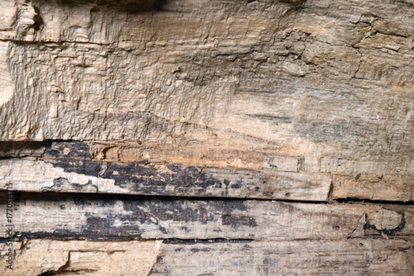 Obraz old wood texture background