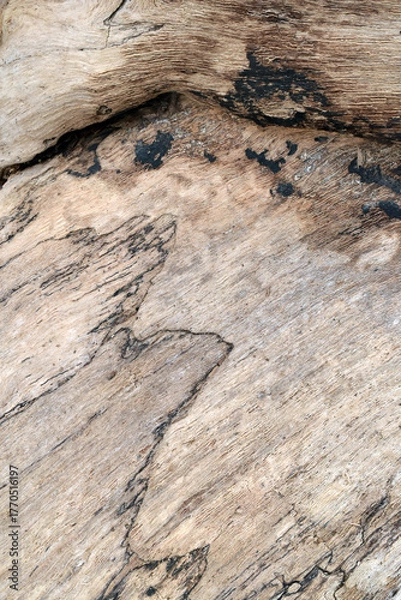 Obraz old wood background