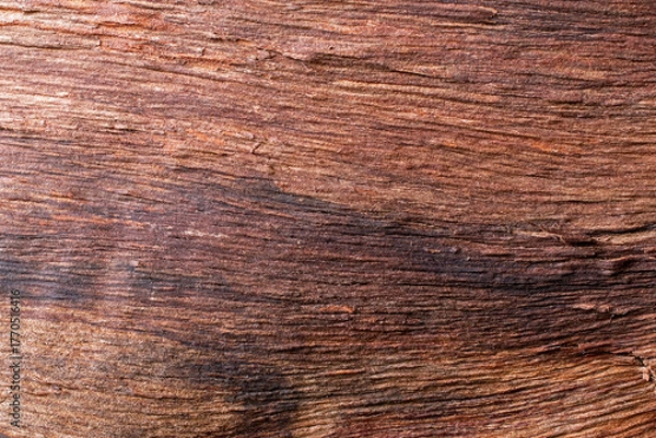 Obraz wood texture background