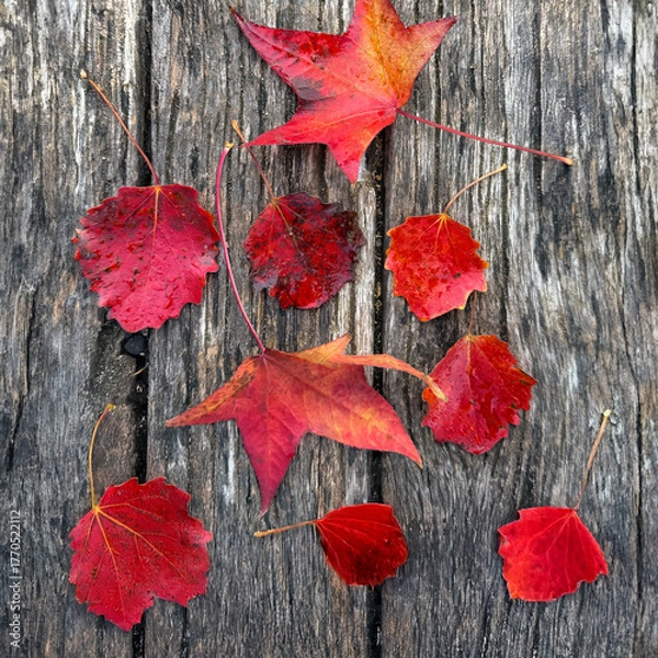 Fototapeta Beautiful Arrangement of Vibrant Red and Orange Maple Leaves on a Rustic Wooden Surface, Highlighting the Beauty of Autumn
