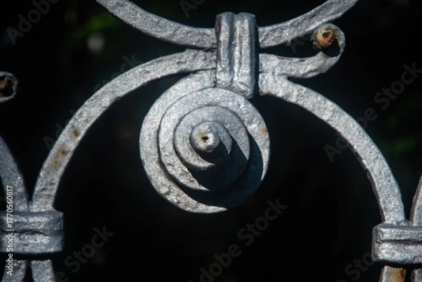 Fototapeta Dettaglio dell'elemento ornamentale di una cancellata in ferro battuto dfi una villòa storica al Lido di Venezia