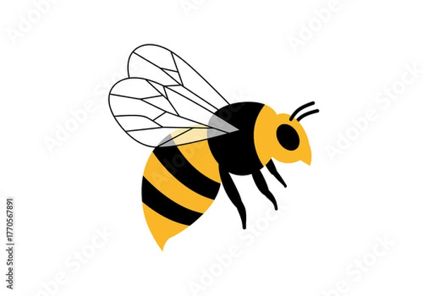 Fototapeta Vector graphic of a bee depicted with yellow and black stripes transparent wings and antennae