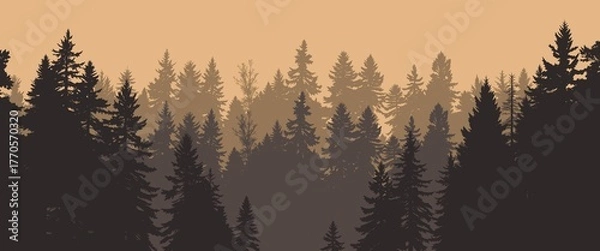 Fototapeta a hazy silhouette of evergreen trees in a dense forest at dusk