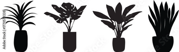 Obraz Black plant silhouette vector set with potted houseplants, tropical leaves, indoor foliage and modern botanical shapes, minimal home decor illustration for design, wall art, and decoration