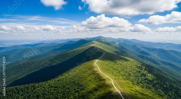 Obraz Mountain ridge landscape with clouds and green forest under blue sky