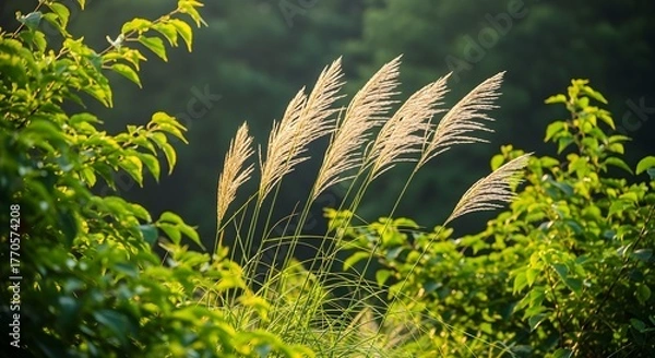 Fototapeta Grass swaying in breeze