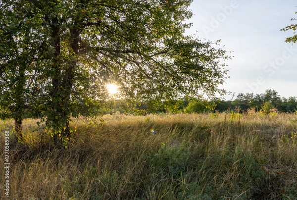 Obraz A spectacular sunset in the countryside