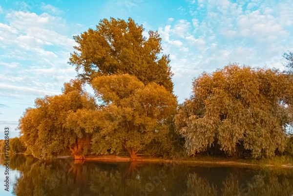 Fototapeta Beautiful summer evening view with reflections at Stephansposching, Danube, Deggendorf, Bavaria, Germany