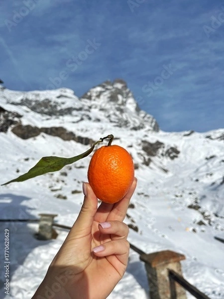 Obraz orange in the hand