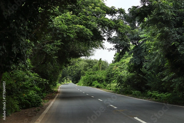 Fototapeta In Indian small village and rural areas in Gujarat India. horizontal empty road, farm land, and lane of electricity pole beautiful village landscape. growing tree on long road. countryside of india.
