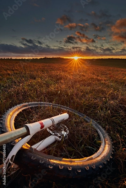 Fototapeta A bicycle wheel against the background of a meadow and a bright sunset sky with the sun. Travel and adventure