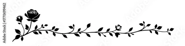 Obraz elegant burgundy rose vine on white background, floral design element