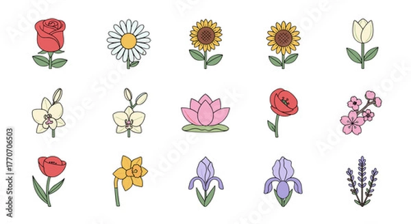 Fototapeta Vibrant Collection of Fifteen Diverse Flower Icons, Featuring a Red Rose, Daisy, Sunflowers, Tulips, Orchids, Lotus, Poppy, Cherry Blossoms, Daffodil, Iris, and Lavender, Perfect for UI, Placards