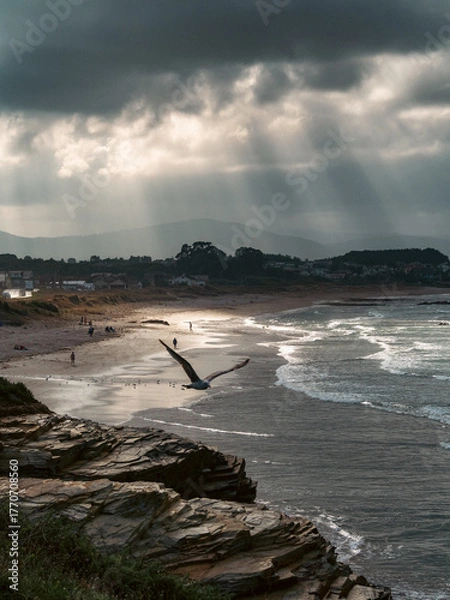 Fototapeta Coastal landscape at sunset with a seagull flying across a sky with rays of light