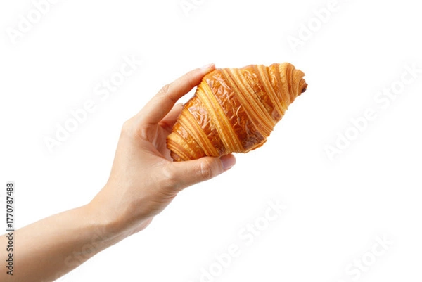 Fototapeta Hand Holding Artisan Croissant  —on transparent PNG Background