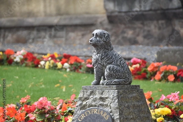Obraz Statue en hommage à Greyfriars Bobby, un chien de race Skye terrier réputé pour sa fidélité, au milieu d'un jardin de fleurs.
