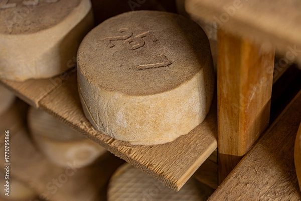 Fototapeta Gros plan sur des fromages en cours d’affinage dans une cave, révélant les textures naturelles, les nuances de couleur et le savoir-faire artisanal de la production fermière.