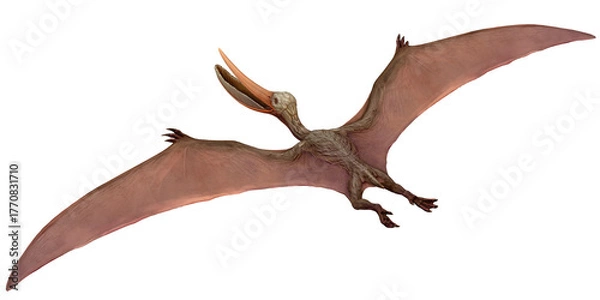 Obraz Illustration of a flying pterosaur with outstretched wings.