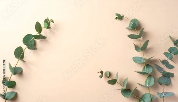 Obraz Eucalyptus Elegance: Minimalist Botanical Scatter