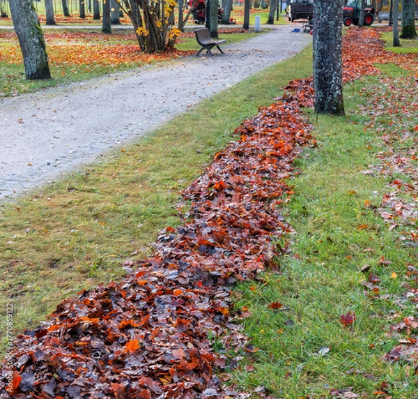 Fototapeta Late autumn. Mechanical leaf removal in old city park. Fallen leaves create mulch, preventing soil erosion and protecting plant roots
