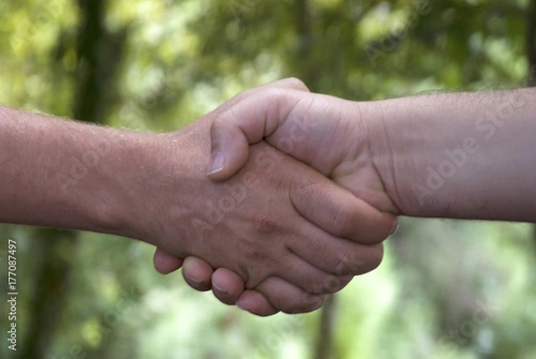 Obraz Handshake on the view background