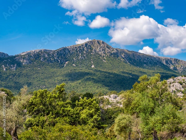 Obraz Serra de Tramuntana, Mallorca, picturesque mountain range with lush greenery under a bright blue sky, dotted with fluffy white clouds, Majorca