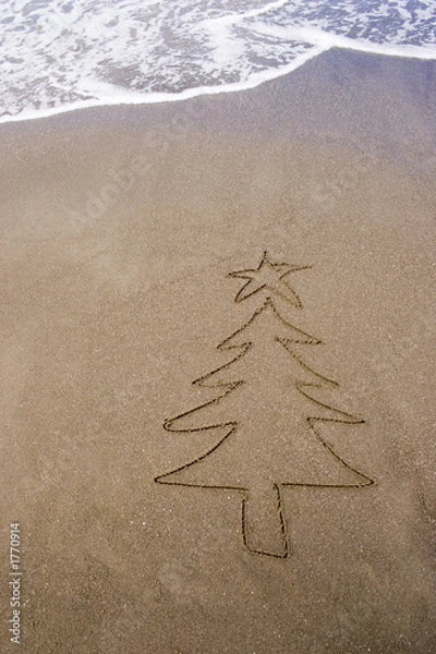 Obraz summer christmas 08