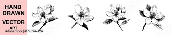 Fototapeta Hand drawn flower branch vector illustration, vintage floral botanical art, blooming spring blossom engraving design perfect for invitations, natural decor, botanical prints, and classic nature artwor