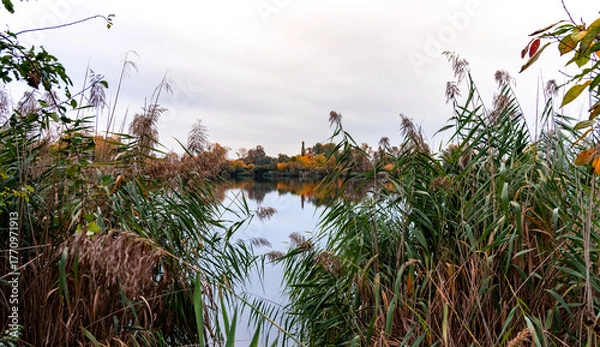 Fototapeta Couleurs d’automne au cœur de Strasbourg