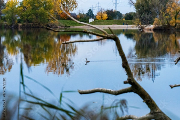 Fototapeta Couleurs d’automne au cœur de Strasbourg