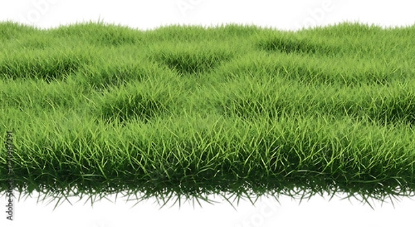 Obraz Lush green grass isolated on transparent background