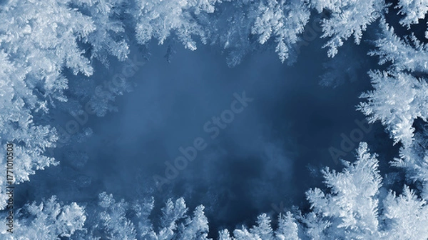 Obraz 冬の霜の模様