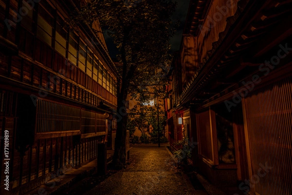 Obraz 金沢・主計町茶屋街の夜