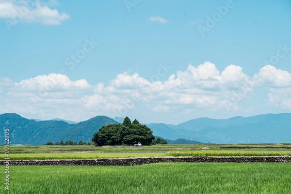 Obraz 福井県大野市の山伏岩