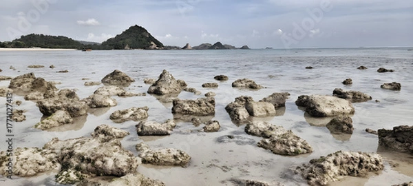 Obraz Panoramic low tide beach scene with unique geological rock formations. Calm ocean meets distant hills under a cloudy sky, capturing tranquil coastal nature