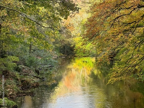 Obraz autumn in the park