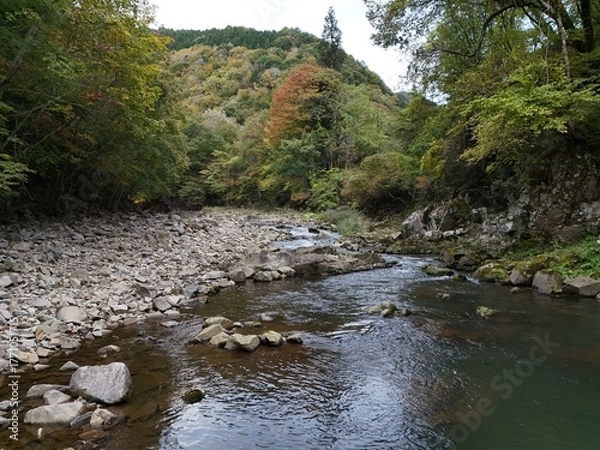 Fototapeta A river with a rocky shoreline and a forest in the background. The water is calm and clear
