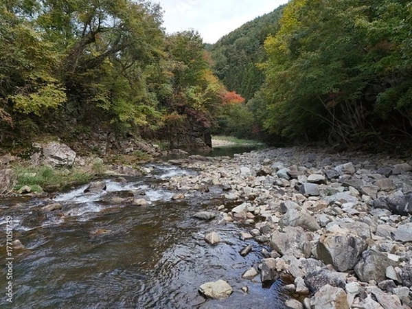 Fototapeta A river with a rocky shoreline and a forest in the background. The water is calm and clear, and the rocks on the shoreline are large and jagged. The scene is peaceful and serene