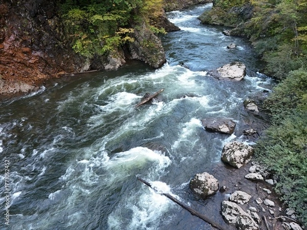 Fototapeta A river with a lot of white water and rocks. The water is moving fast and the rocks are scattered throughout the river