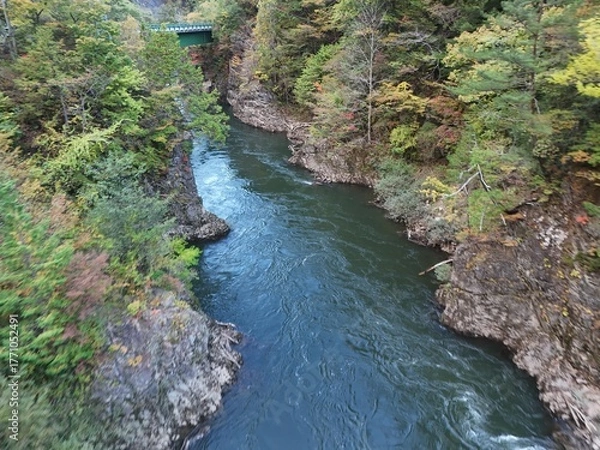 Obraz A river with a bridge over it. The water is clear and the trees are green