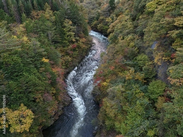 Obraz A river with a waterfall and trees in the background. The water is clear and the trees are green