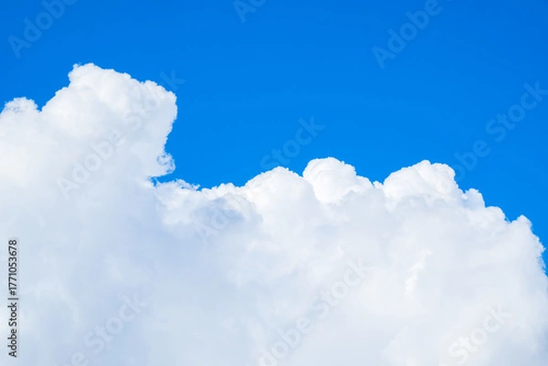 Fototapeta 青空　雲　夏